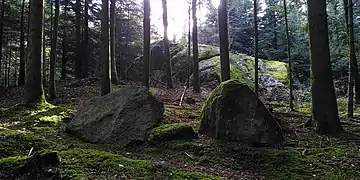 Findlinge im Steinenberg