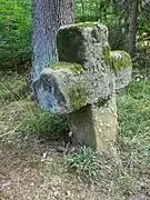 Perspektive von vorne