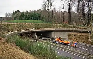 Tunnel Ringelbur