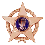 Stella al merito sportivo Bronze