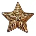 Metallener Aktivitätsstern der Generale der Luftwaffe.