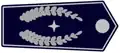 stellvertretender Leiter der Feuerwehr