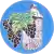 Wappen von Rahovec