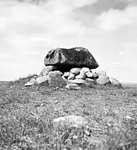 Der Stenadansen