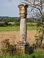 Bildstock