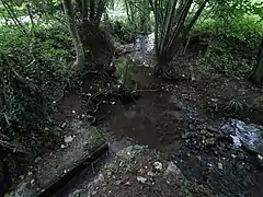 Zusammenfluss von Stettener Haldenbach und Mönchswiesenbach