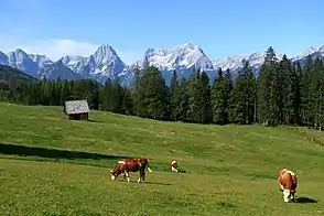 Die Steyrsbergerreith mit der Prielgruppe im Hintergrund