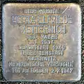 Stolperstein für Herta Elfriede Metternich (Thieboldsgasse 98)