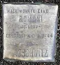 Stolperstein für eine Rommni (Thieboldsgasse 9)