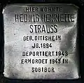 Stolperstein für Hedwig Henriette Strauss (Theresienstraße 19)