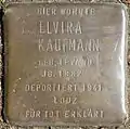 Stolpersteine für Elvira Kaufmann (Mauritiussteinweg 30)