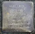 Stolperstein für Hermann Ziegellaub (Thieboldsgasse 102)