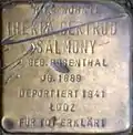 Stolperstein für Thekla Gertrud Salmony (Wichterichstraße 59)