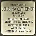 Stolperstein für Johanna Oppenheimer (Teutoburgerstraße 27)