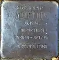 Stolperstein für Alfred Herz (Neue Maastrichter Straße 3)