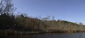 Die Straßen führen u. a. am Turtle Pond vorbei.