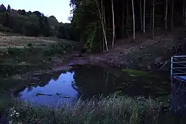 Überlaufbereich in der Nähe des Freibads