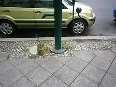 Wolfsäule