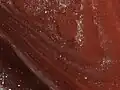 Stratigraphie der Ablagerungen im Planum Boreum