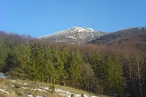 Der Berg Strážov (1213 m n.m.)