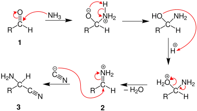 Mechanismus der Strecker-Synthese 1. Teil