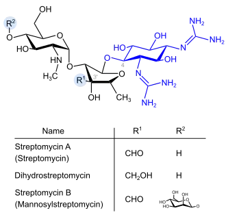 Strepotomycine (blau: Streptidinstruktur)