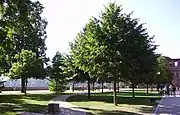 Blick durch den als Touristenziel eingerichteten Stückgarten