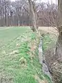 Hochsitz bis -wald