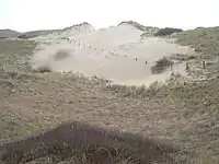 Sanddüne