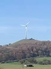 Der „Grüne Heiner“ im Herbst