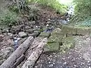 Relikte der Schleusentreppe „Pastorenschlucht“ in Sülfeld.