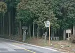 Die berühmte Zedernallee zu Nikkō.
