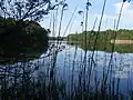 Suhrer See