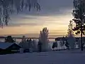Orsasjön (2006)
