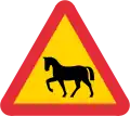 freilaufende Pferde