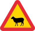 freilaufende Schafe