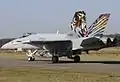 Fl&nbsp;St&nbsp;11 F/A-18C J-5011 Tigers