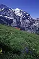 Blick auf einen Pendelzug BDhe 4/8 von der Station Eigergletscher kommend