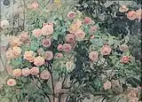 Rosen 1902