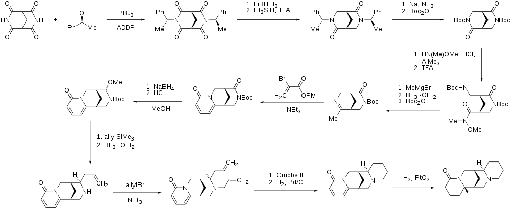 Reaktionsschema für die enantioselektive Darstellung von (−)-Lupanin.svg