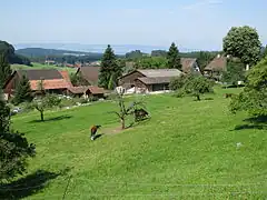 Tüfenbach und Vollenweid (Hintergrund)
