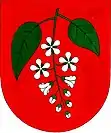 Wapen von Třemošná