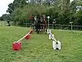 Stangen