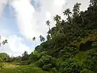 Süden von Tafua Peninsula