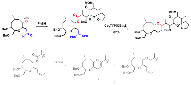 Totalsynthese Ciguatoxin