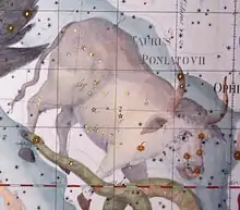 Taurus Poniatovii