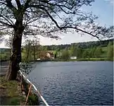 Am Tajch in Šindelová