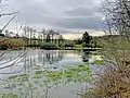Großer Teich östliche Gut Nagelsgau