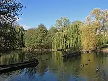 Teich im Volkspark Mariendorf