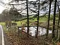 Quellteich des Kormannssiepen
